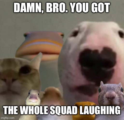 The council remastered | DAMN, BRO. YOU GOT THE WHOLE SQUAD LAUGHING | image tagged in the council remastered | made w/ Imgflip meme maker