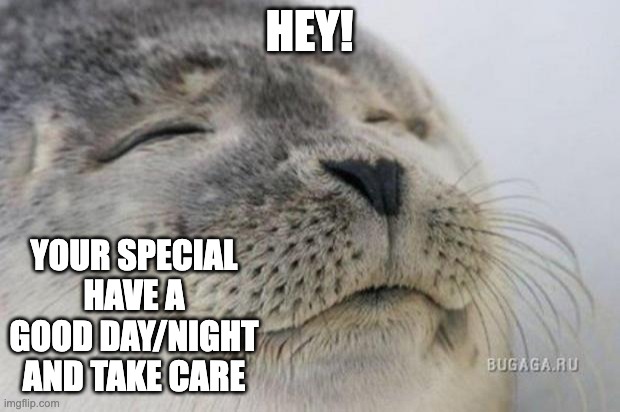 *insert a nice title* | HEY! YOUR SPECIAL HAVE A GOOD DAY/NIGHT AND TAKE CARE | image tagged in happy seal,yes | made w/ Imgflip meme maker