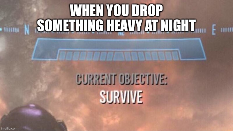 Current Objective: Survive | WHEN YOU DROP SOMETHING HEAVY AT NIGHT | image tagged in current objective survive,relatable,funny,true story | made w/ Imgflip meme maker