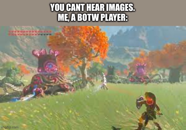 YOU CANT HEAR IMAGES.
ME, A BOTW PLAYER: | made w/ Imgflip meme maker