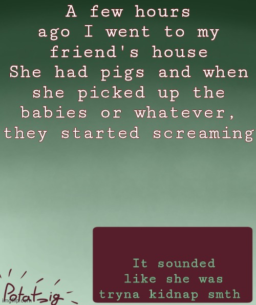 she named one of em after rabbit shit | A few hours ago I went to my friend's house
She had pigs and when she picked up the babies or whatever, they started screaming; It sounded like she was tryna kidnap smth | image tagged in my ip address | made w/ Imgflip meme maker