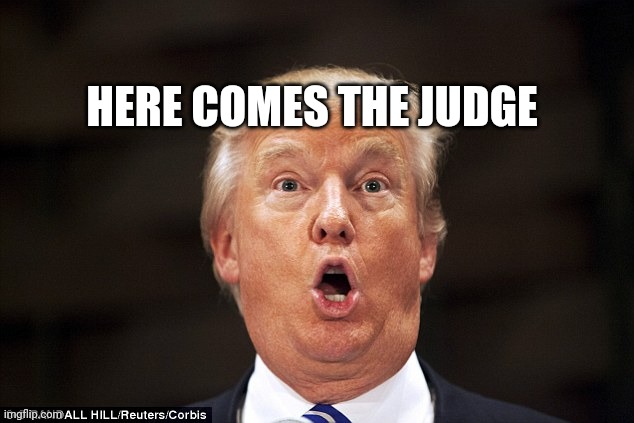 Trump stupid face | HERE COMES THE JUDGE | image tagged in trump stupid face | made w/ Imgflip meme maker