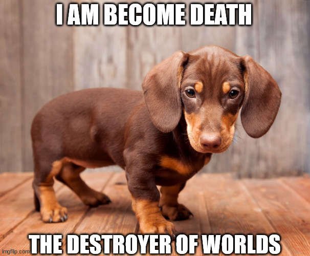Weiner Dog destroyer of worlds | I AM BECOME DEATH; THE DESTROYER OF WORLDS | image tagged in now i am become death,cute puppy,weiner dog | made w/ Imgflip meme maker