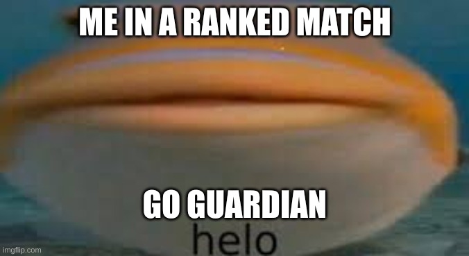this happens every day AHHHHHH | ME IN A RANKED MATCH; GO GUARDIAN | image tagged in fish helo,why,relatable | made w/ Imgflip meme maker