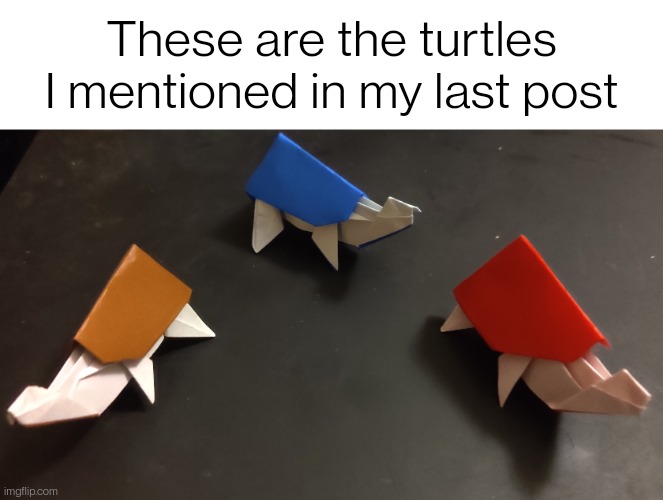 The red and brown ones were done completely from memory, I did make a green one but I'm not sure where it went |  These are the turtles I mentioned in my last post | made w/ Imgflip meme maker