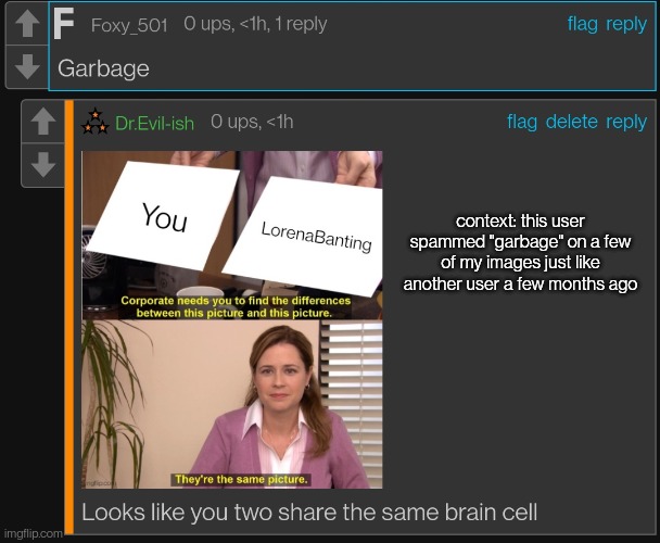 LorenaBanting was an idiot, Good thing I LorenaBanned her from my streams. | context: this user spammed "garbage" on a few of my images just like another user a few months ago | made w/ Imgflip meme maker