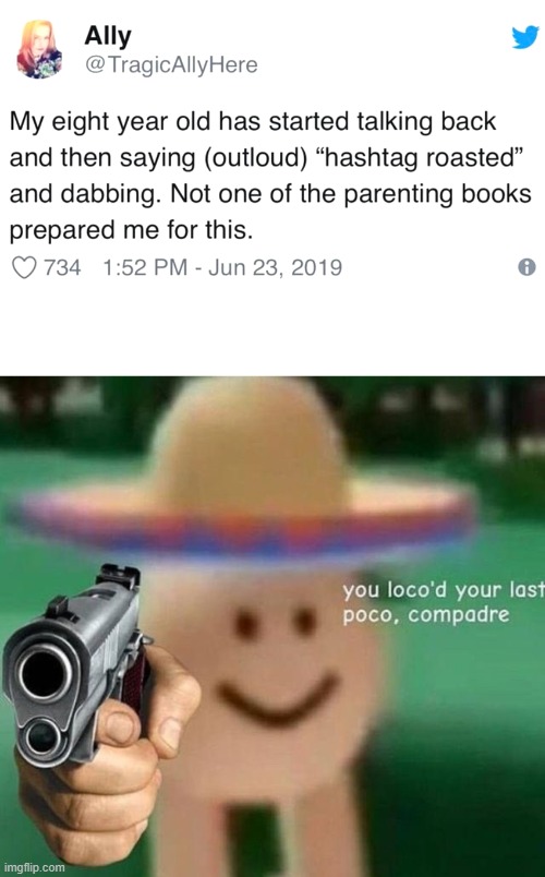 Cringe level 99999+ | image tagged in you've loco d your last poco compadre,kids,hashtag,roasted,dab | made w/ Imgflip meme maker