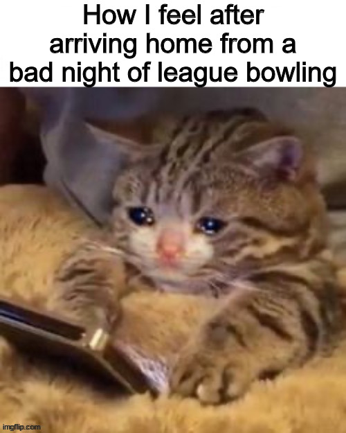 When you know you should've stayed in bed | How I feel after arriving home from a bad night of league bowling | image tagged in league bowling,bad night,tears | made w/ Imgflip meme maker