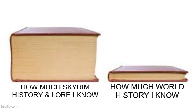 Yes, I did think of a good title, you're welcome | HOW MUCH WORLD HISTORY I KNOW; HOW MUCH SKYRIM HISTORY & LORE I KNOW | image tagged in big book small book,skyrim,smart | made w/ Imgflip meme maker