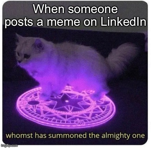 Meme Battle | When someone posts a meme on LinkedIn | image tagged in memes,raycat | made w/ Imgflip meme maker