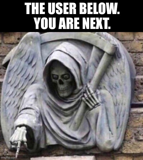 Pointing Death | THE USER BELOW. YOU ARE NEXT. | image tagged in pointing death | made w/ Imgflip meme maker