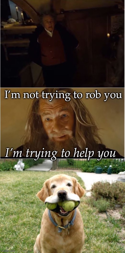 Trying to help the dog | image tagged in trying to help you,gandalf,dog,balls,fetch,not trying to rob you | made w/ Imgflip meme maker