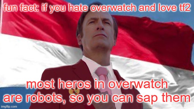 INDONESIA MENTIONED!!!!!! | fun fact: if you hate overwatch and love tf2; most heros in overwatch are robots, so you can sap them | image tagged in indonesia mentioned | made w/ Imgflip meme maker