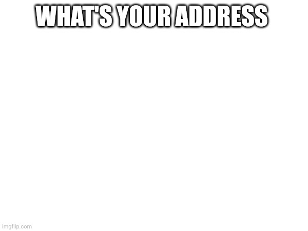 WHAT'S YOUR ADDRESS | made w/ Imgflip meme maker