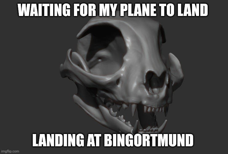live bingus skull reaction | WAITING FOR MY PLANE TO LAND; LANDING AT BINGORTMUND | image tagged in live bingus skull reaction | made w/ Imgflip meme maker
