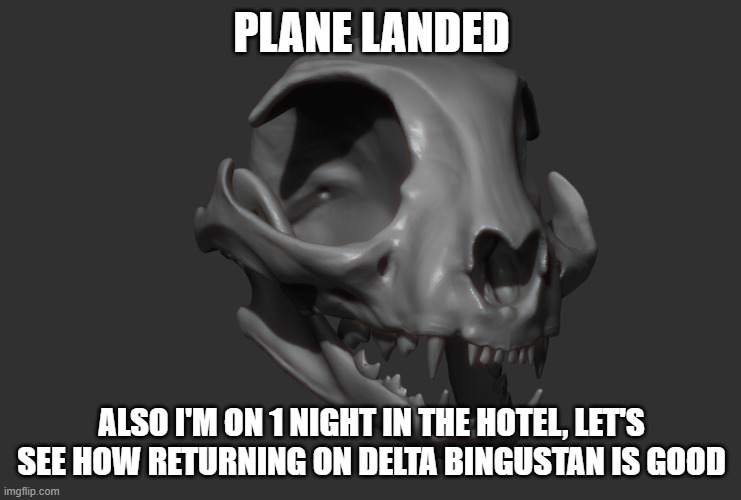 live bingus skull reaction | PLANE LANDED; ALSO I'M ON 1 NIGHT IN THE HOTEL, LET'S SEE HOW RETURNING ON DELTA BINGUSTAN IS GOOD | image tagged in live bingus skull reaction | made w/ Imgflip meme maker