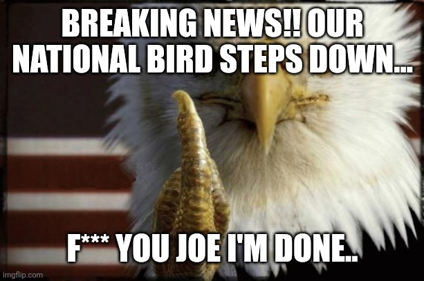 bald eagle flipping off | BREAKING NEWS!! OUR NATIONAL BIRD STEPS DOWN... F*** YOU JOE I'M DONE.. | image tagged in bald eagle flipping off | made w/ Imgflip meme maker