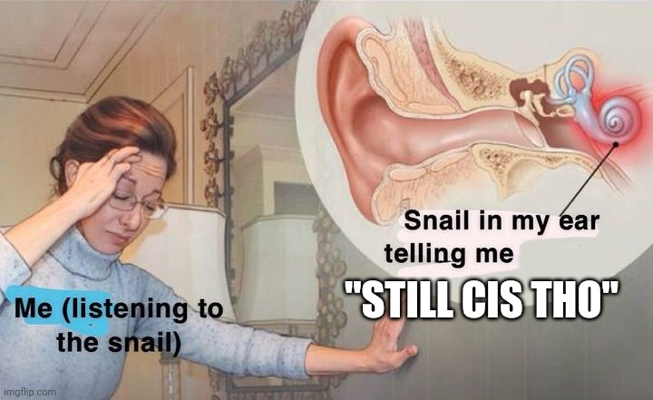 Snail in my ear | "STILL CIS THO" | image tagged in snail in my ear | made w/ Imgflip meme maker