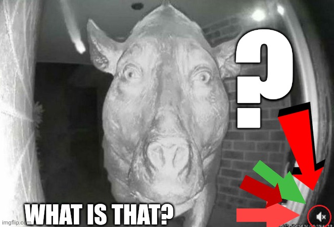 Found this in My cursed image | ? WHAT IS THAT? | image tagged in scary pig thing | made w/ Imgflip meme maker