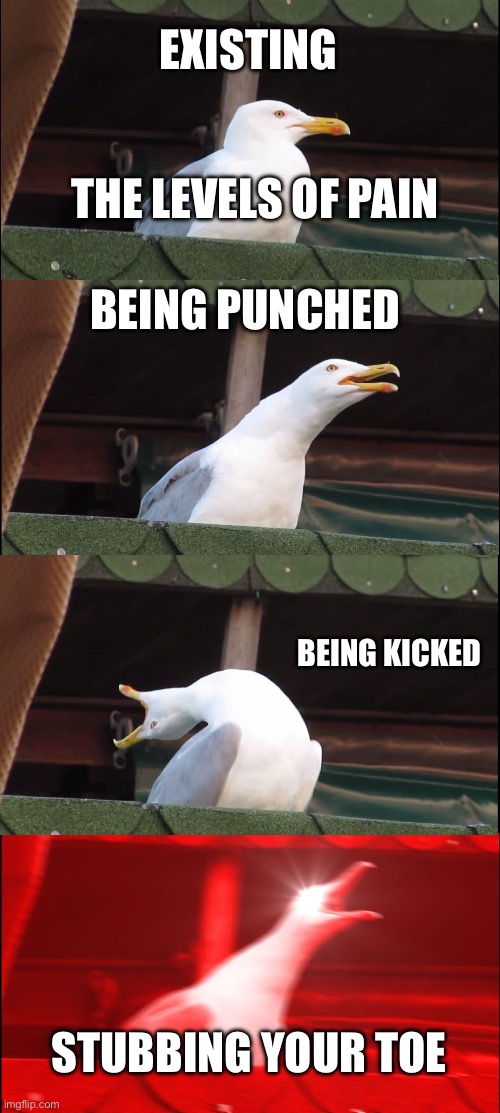 Inhaling Seagull | EXISTING; THE LEVELS OF PAIN; BEING PUNCHED; BEING KICKED; STUBBING YOUR TOE | image tagged in memes,inhaling seagull | made w/ Imgflip meme maker