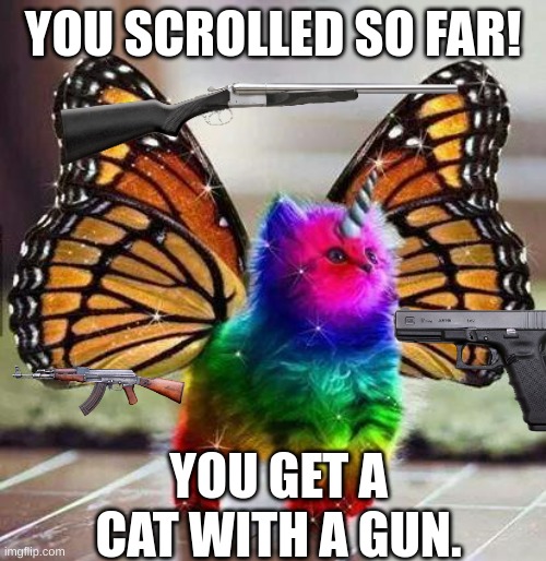 what is this | YOU SCROLLED SO FAR! YOU GET A CAT WITH A GUN. | image tagged in rainbow unicorn butterfly kitten | made w/ Imgflip meme maker