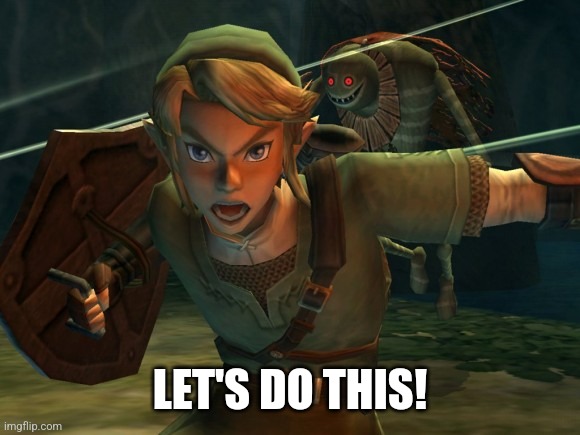 Link Legend of Zelda Yelling | LET'S DO THIS! | image tagged in link legend of zelda yelling | made w/ Imgflip meme maker