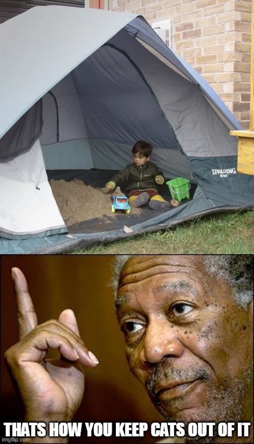 WONT LOSE MUCH SAND EITHER | THATS HOW YOU KEEP CATS OUT OF IT | image tagged in this morgan freeman,sand,sandbox | made w/ Imgflip meme maker