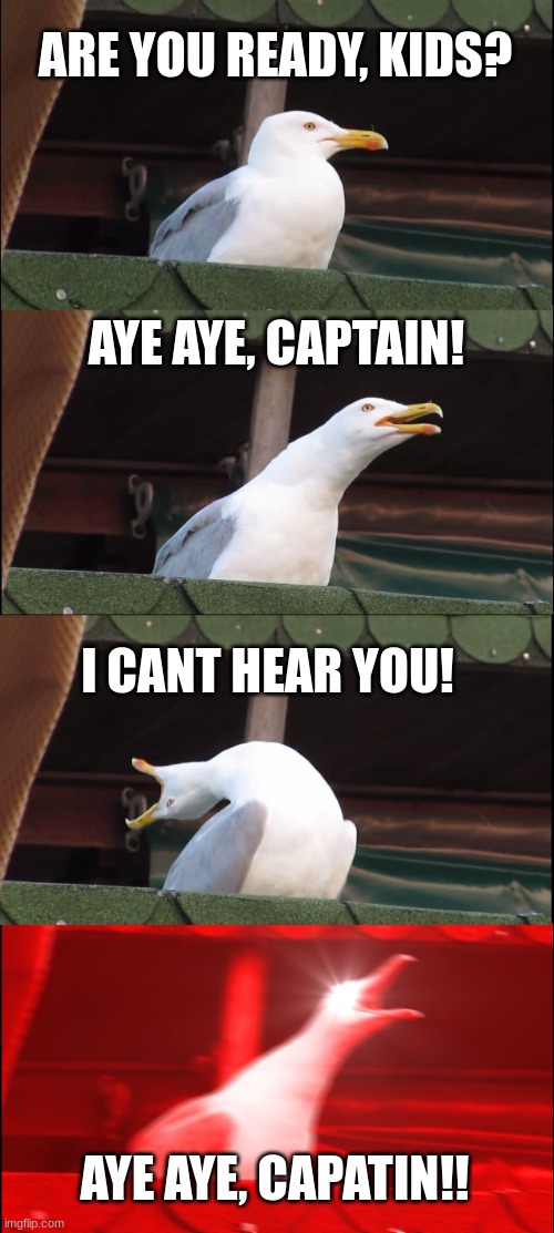 Inhaling Seagull | ARE YOU READY, KIDS? AYE AYE, CAPTAIN! I CANT HEAR YOU! AYE AYE, CAPATIN!! | image tagged in memes,inhaling seagull | made w/ Imgflip meme maker