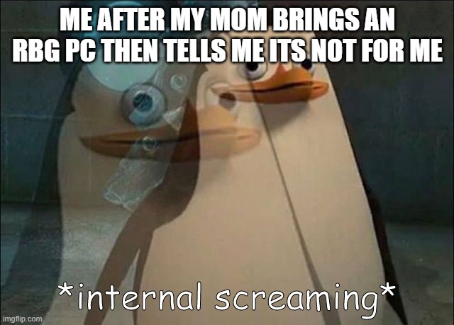 :( | ME AFTER MY MOM BRINGS AN
RBG PC THEN TELLS ME ITS NOT FOR ME | image tagged in private internal screaming | made w/ Imgflip meme maker