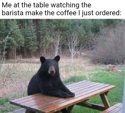 I love Starbucks | Me at the table watching the barista make the coffee I just ordered: | image tagged in bear sitting at picnic table,starbucks,coffee,waiting,cafe | made w/ Imgflip meme maker