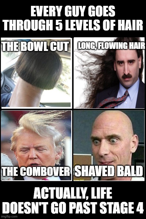 5 Stages | EVERY GUY GOES THROUGH 5 LEVELS OF HAIR; LONG, FLOWING HAIR; THE BOWL CUT; SHAVED BALD; THE COMBOVER; ACTUALLY, LIFE DOESN'T GO PAST STAGE 4 | image tagged in blank drake format | made w/ Imgflip meme maker