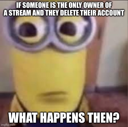 I’m genuinely curious | IF SOMEONE IS THE ONLY OWNER OF A STREAM AND THEY DELETE THEIR ACCOUNT; WHAT HAPPENS THEN? | image tagged in why | made w/ Imgflip meme maker