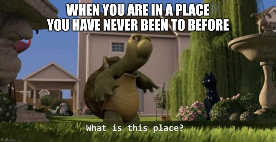 antimeme | WHEN YOU ARE IN A PLACE YOU HAVE NEVER BEEN TO BEFORE | image tagged in what is this place,antimeme | made w/ Imgflip meme maker