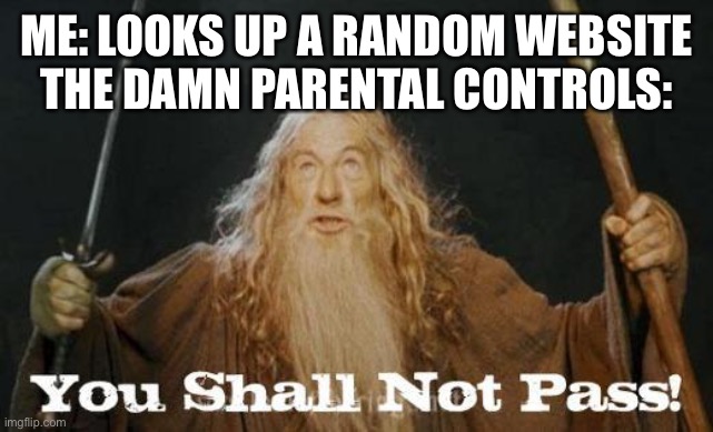 gandalf you shall not pass | ME: LOOKS UP A RANDOM WEBSITE
THE DAMN PARENTAL CONTROLS: | image tagged in gandalf you shall not pass,memes,funny | made w/ Imgflip meme maker