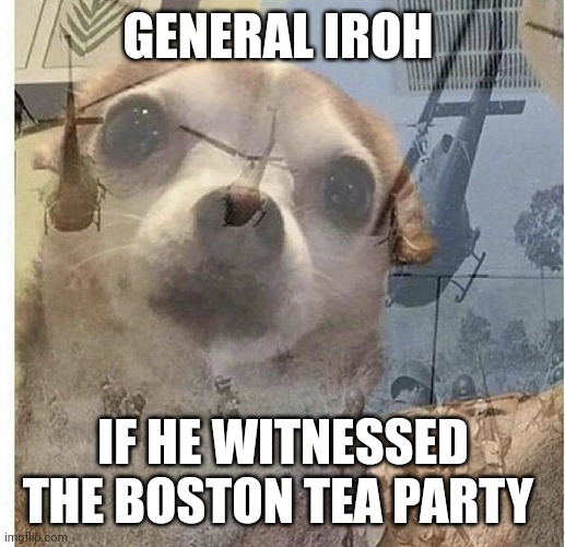Never show iroh the Boston tea party | GENERAL IROH; IF HE WITNESSED THE BOSTON TEA PARTY | image tagged in ptsd chihuahua | made w/ Imgflip meme maker