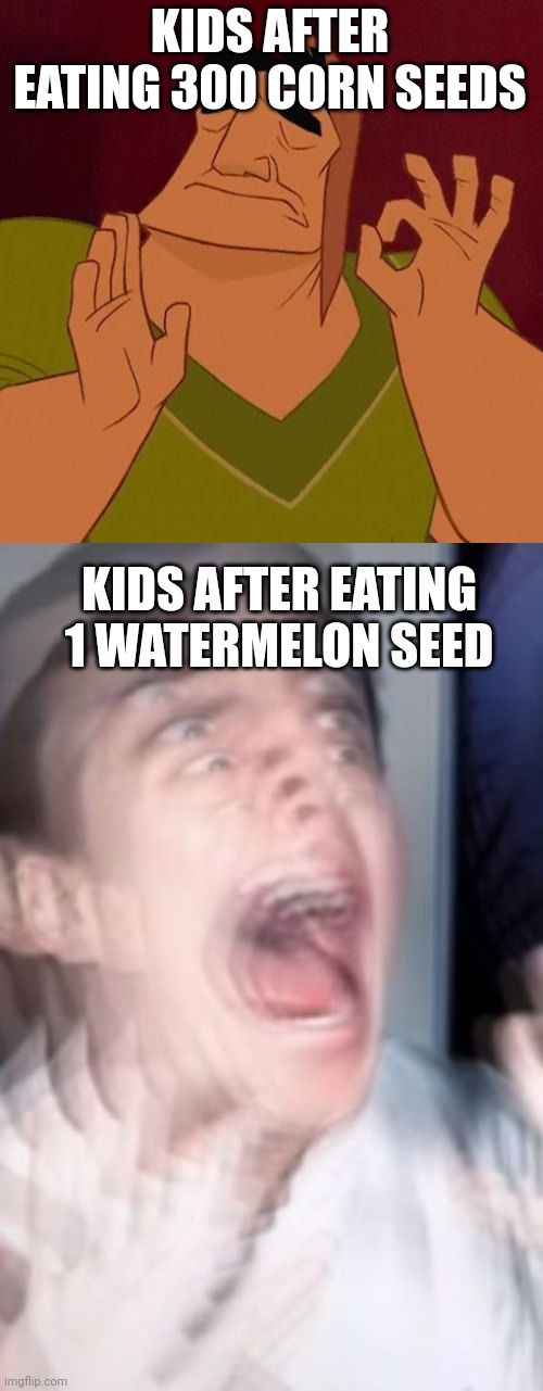Memes #515 | KIDS AFTER EATING 300 CORN SEEDS; KIDS AFTER EATING 1 WATERMELON SEED | image tagged in when x just right,freaking out,watermelon,corn,kids,memes | made w/ Imgflip meme maker