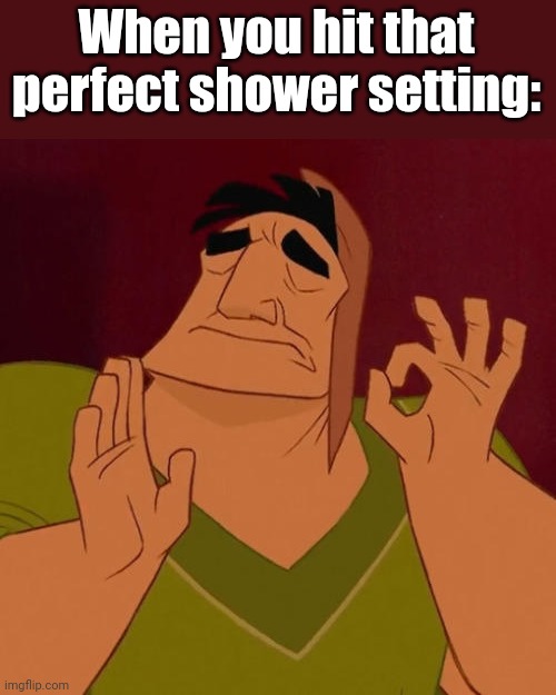 Aaaaaahhhhhh | When you hit that perfect shower setting: | image tagged in when x just right,shower,relatable,funny,feels good man | made w/ Imgflip meme maker