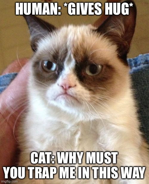 No hugs please | HUMAN: *GIVES HUG*; CAT: WHY MUST YOU TRAP ME IN THIS WAY | image tagged in memes,grumpy cat | made w/ Imgflip meme maker