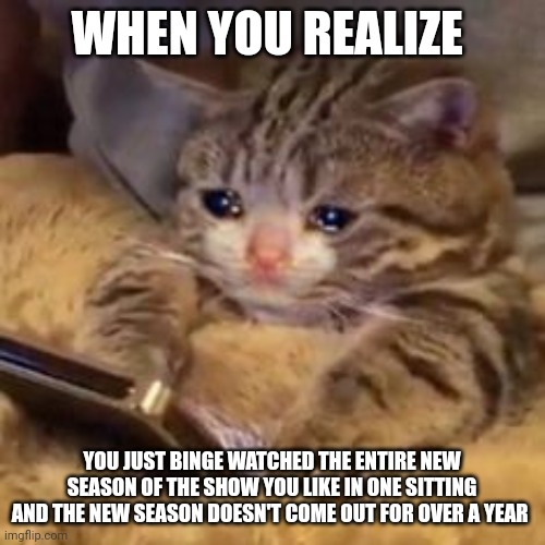 Why can't the new season come out sooner? | WHEN YOU REALIZE; YOU JUST BINGE WATCHED THE ENTIRE NEW SEASON OF THE SHOW YOU LIKE IN ONE SITTING AND THE NEW SEASON DOESN'T COME OUT FOR OVER A YEAR | image tagged in crying cat on phone | made w/ Imgflip meme maker