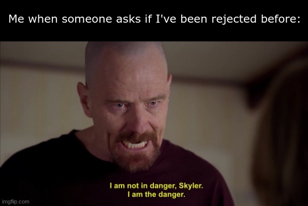 I've done it twice. | Me when someone asks if I've been rejected before: | image tagged in i am not in danger skyler i am the danger | made w/ Imgflip meme maker