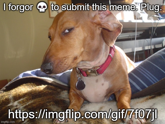 https://imgflip.com/gif/7f07jl | I forgor 💀 to submit this meme. Plug. https://imgflip.com/gif/7f07jl | made w/ Imgflip meme maker