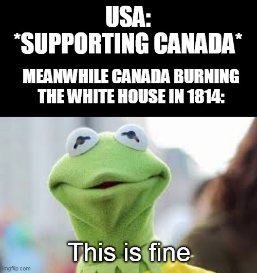Kermit Stare | USA: *SUPPORTING CANADA*; MEANWHILE CANADA BURNING THE WHITE HOUSE IN 1814:; This is fine | image tagged in kermit stare | made w/ Imgflip meme maker