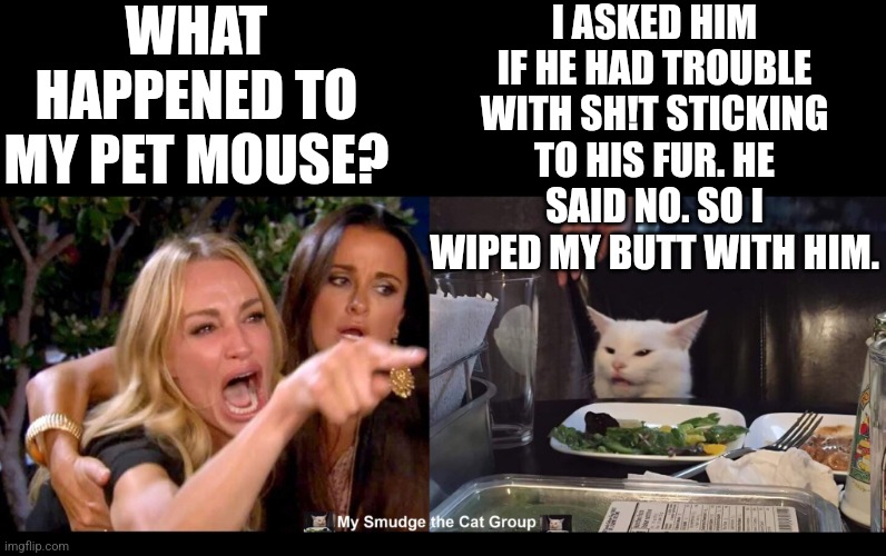 WHAT HAPPENED TO MY PET MOUSE? I ASKED HIM IF HE HAD TROUBLE WITH SH!T STICKING TO HIS FUR. HE SAID NO. SO I WIPED MY BUTT WITH HIM. | image tagged in smudge the cat | made w/ Imgflip meme maker