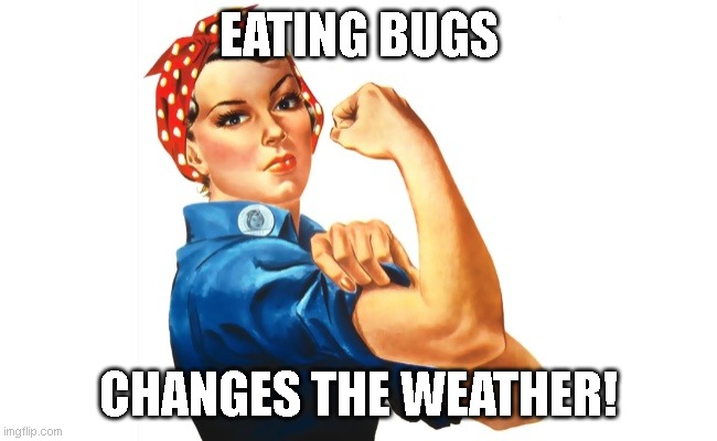 we can do it girl power | EATING BUGS CHANGES THE WEATHER! | image tagged in we can do it girl power | made w/ Imgflip meme maker
