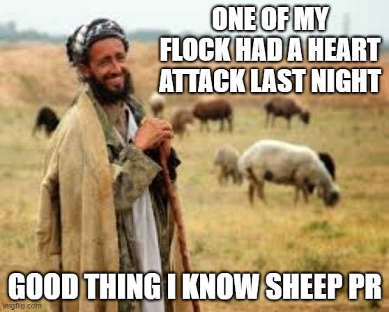 Shepherd Hero | ONE OF MY FLOCK HAD A HEART ATTACK LAST NIGHT; GOOD THING I KNOW SHEEP PR | image tagged in shepherd | made w/ Imgflip meme maker