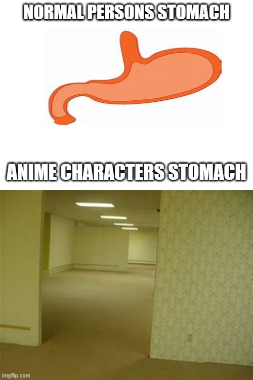 people who watch anime will understand | NORMAL PERSONS STOMACH; ANIME CHARACTERS STOMACH | image tagged in the backrooms | made w/ Imgflip meme maker