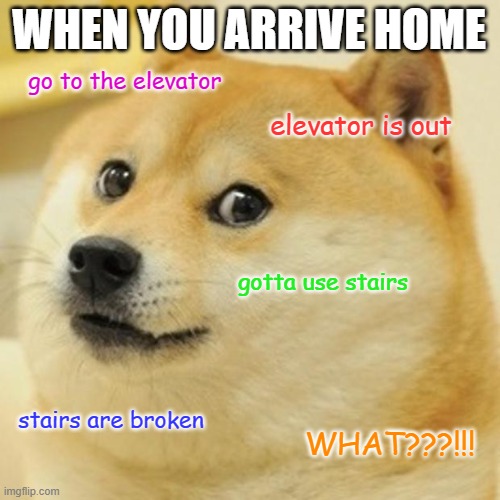 when you arrive home | WHEN YOU ARRIVE HOME; go to the elevator; elevator is out; gotta use stairs; stairs are broken; WHAT???!!! | image tagged in memes,doge | made w/ Imgflip meme maker