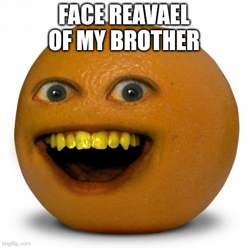 Annoying Orange | FACE REAVAEL OF MY BROTHER | image tagged in annoying orange,lol so funny,stop reading the tags,i said stop | made w/ Imgflip meme maker