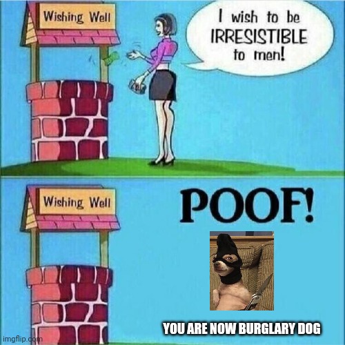 You've been turned into burglary dog | YOU ARE NOW BURGLARY DOG | image tagged in i wish to be irresistible to men | made w/ Imgflip meme maker