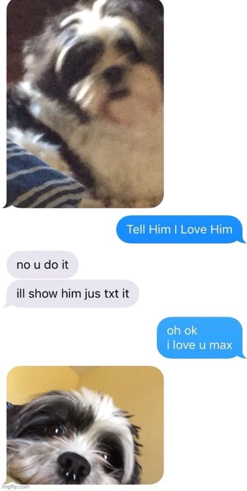 image tagged in memes,funny,wholesome | made w/ Imgflip meme maker